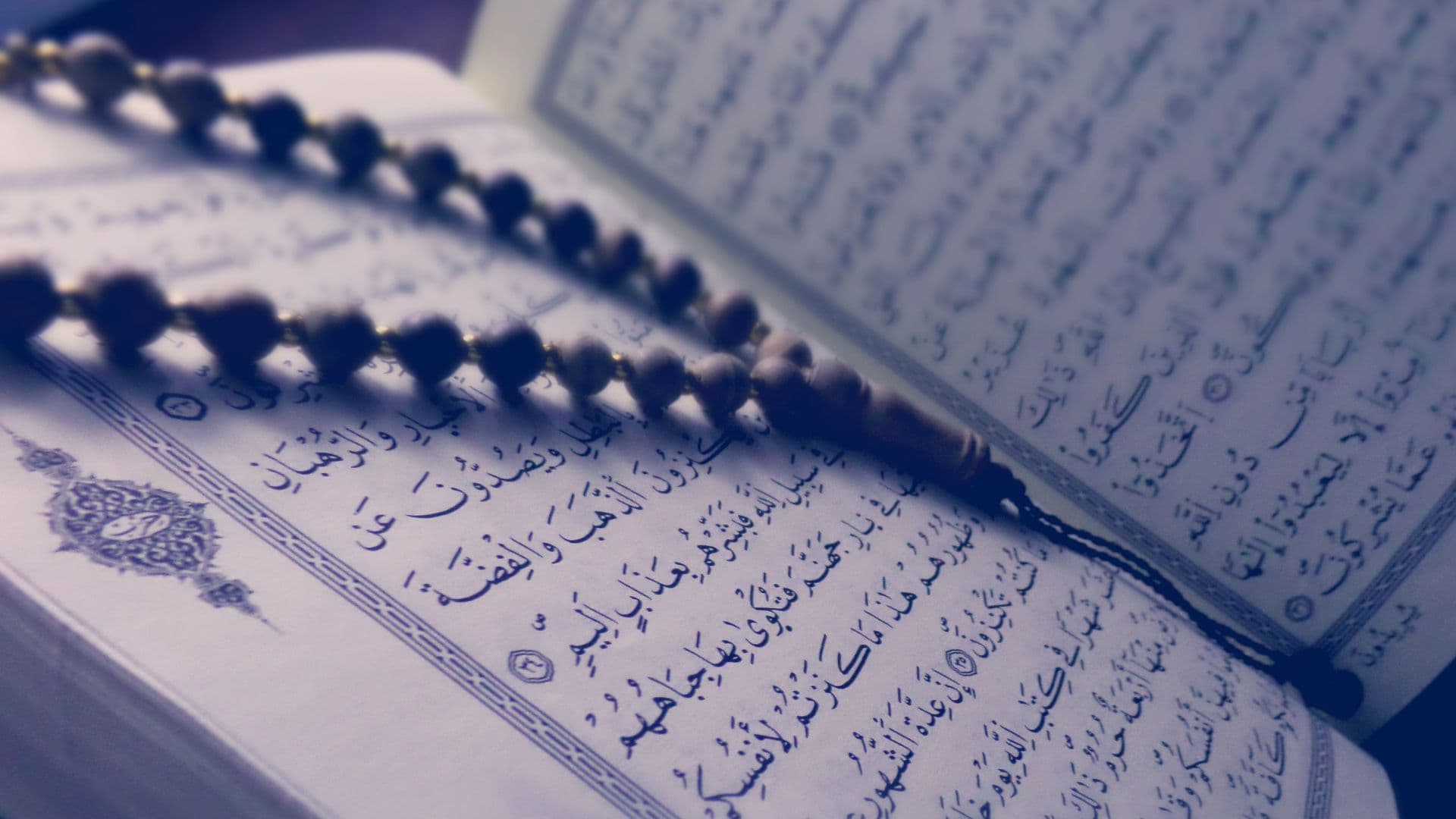 Étude d'Al-Aqîda sur Zoom